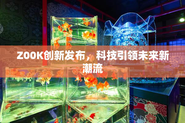 Z00K创新发布，科技引领未来新潮流