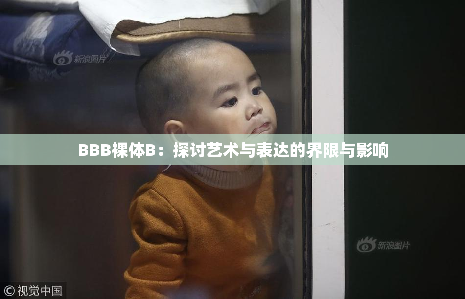 BBB裸体B：探讨艺术与表达的界限与影响