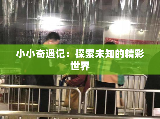 小小奇遇记：探索未知的精彩世界