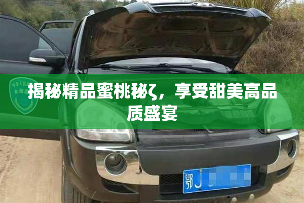 揭秘精品蜜桃秘ζ，享受甜美高品质盛宴