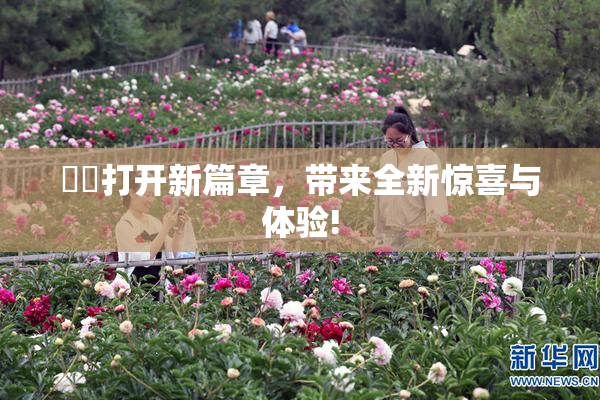 妺妺打开新篇章，带来全新惊喜与体验!