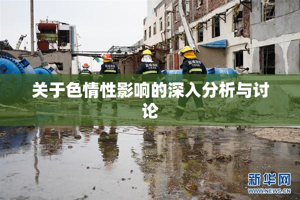 关于色情性影响的深入分析与讨论