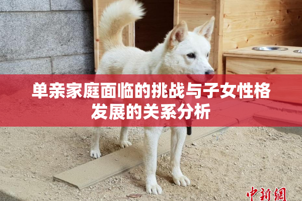 单亲家庭面临的挑战与子女性格发展的关系分析