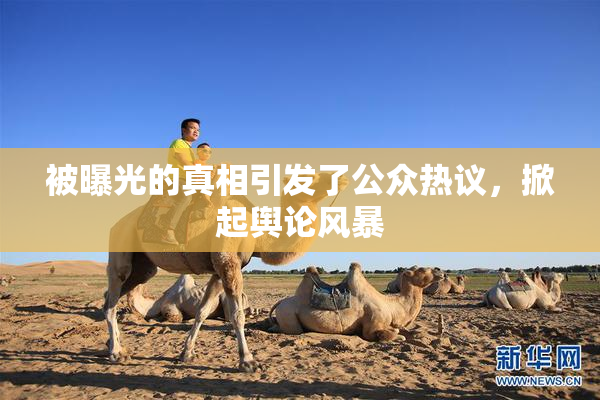 被曝光的真相引发了公众热议，掀起舆论风暴