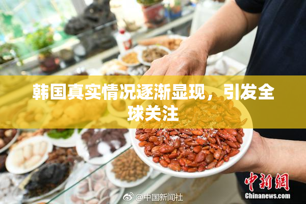 韩国真实情况逐渐显现，引发全球关注