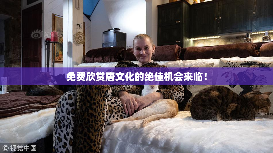 免费欣赏唐文化的绝佳机会来临！