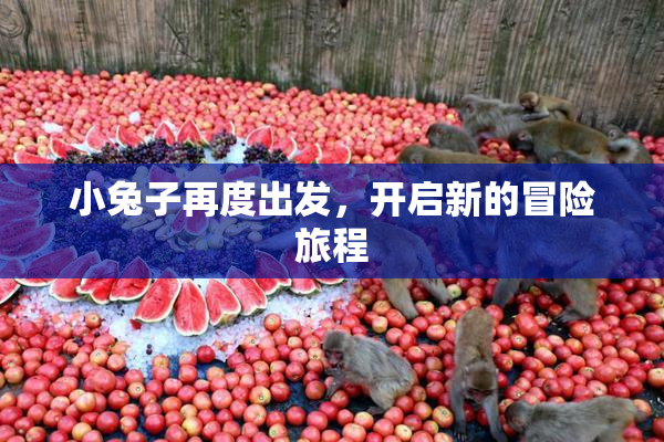 小兔子再度出发，开启新的冒险旅程