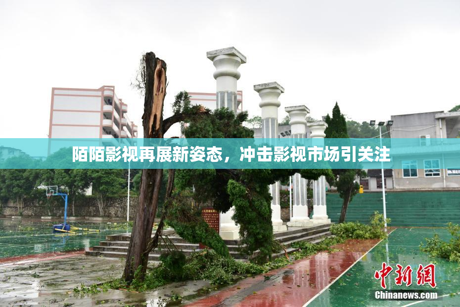 陌陌影视再展新姿态，冲击影视市场引关注