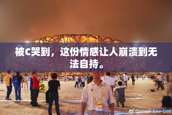 被C哭到，这份情感让人崩溃到无法自持。