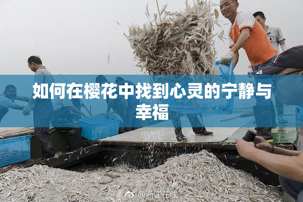 如何在樱花中找到心灵的宁静与幸福