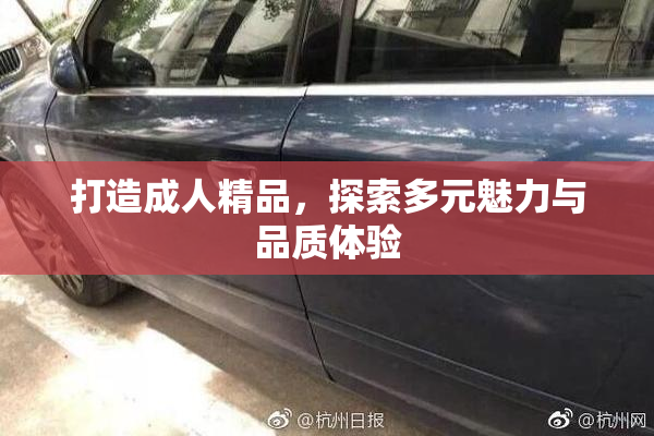 打造成人精品，探索多元魅力与品质体验