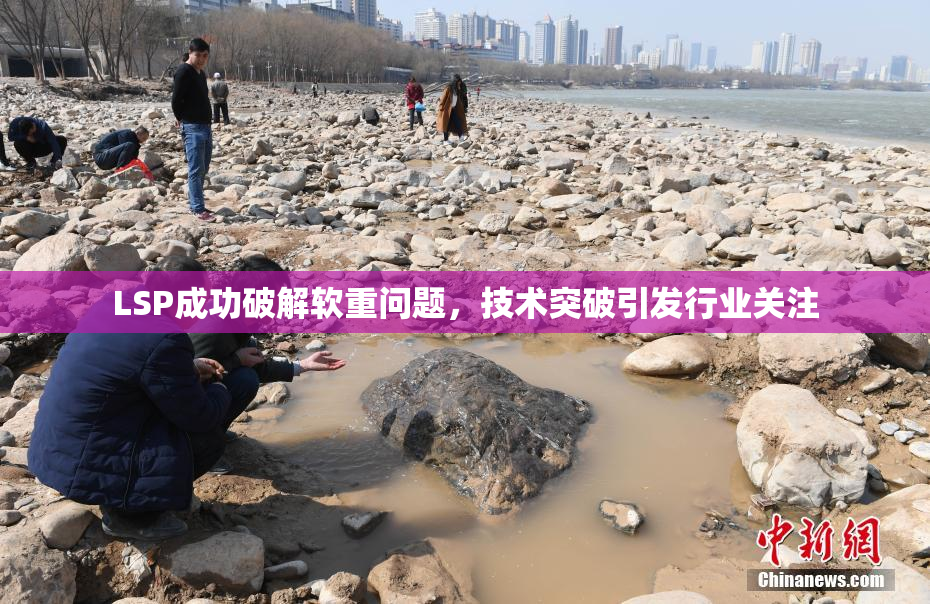 LSP成功破解软重问题，技术突破引发行业关注