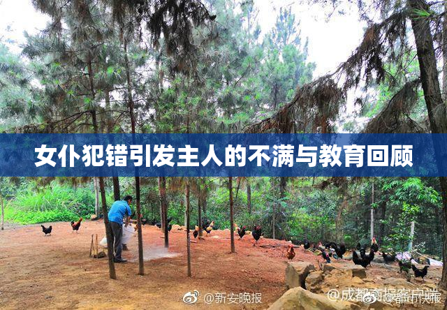 女仆犯错引发主人的不满与教育回顾