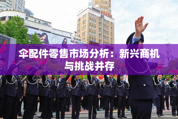 伞配件零售市场分析：新兴商机与挑战并存