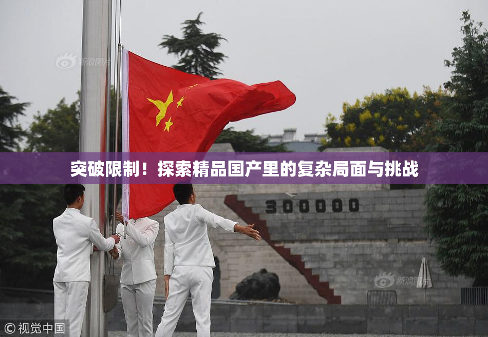 突破限制！探索精品国产里的复杂局面与挑战