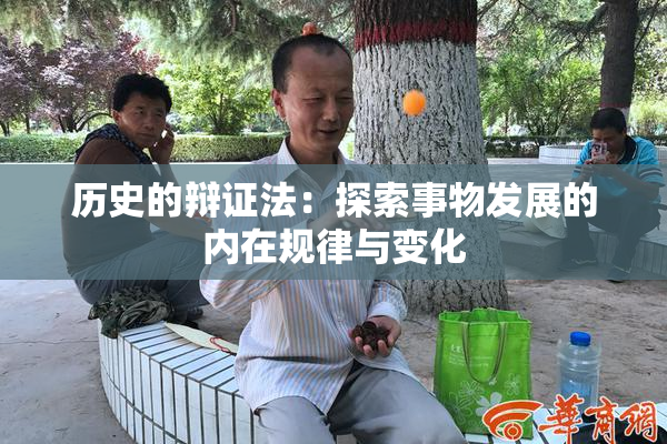 历史的辩证法：探索事物发展的内在规律与变化