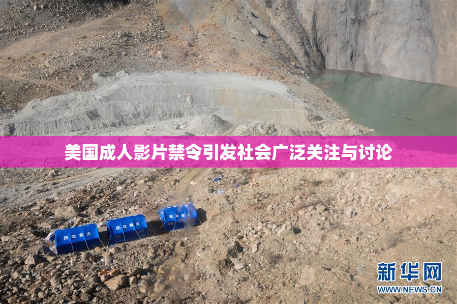 美国成人影片禁令引发社会广泛关注与讨论