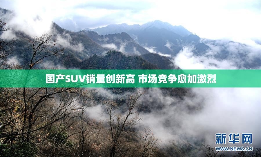国产SUV销量创新高 市场竞争愈加激烈
