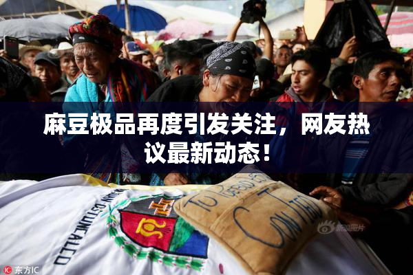 麻豆极品再度引发关注，网友热议最新动态！