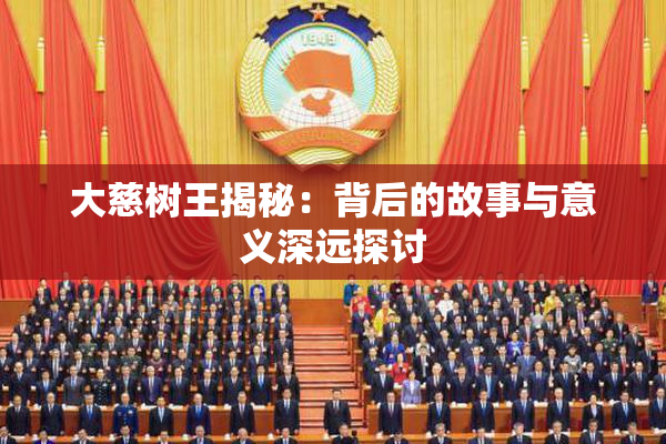 大慈树王揭秘：背后的故事与意义深远探讨