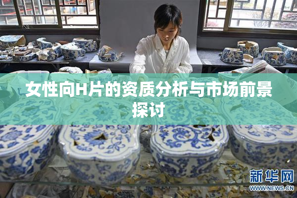女性向H片的资质分析与市场前景探讨