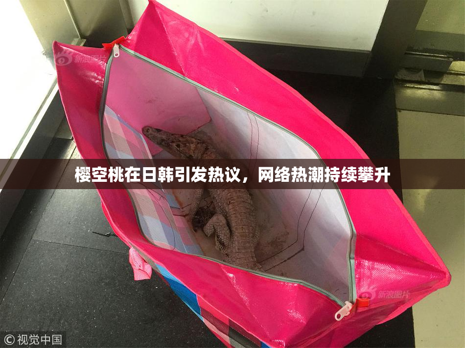 樱空桃在日韩引发热议，网络热潮持续攀升
