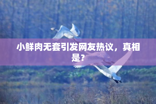 小鲜肉无套引发网友热议，真相是？
