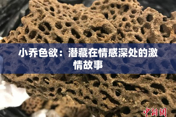 小乔色欲：潜藏在情感深处的激情故事