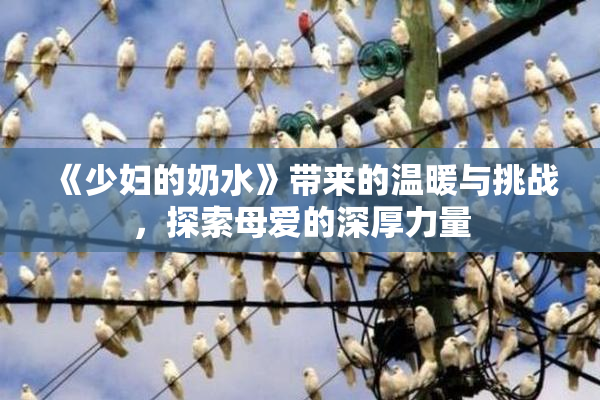 《少妇的奶水》带来的温暖与挑战，探索母爱的深厚力量