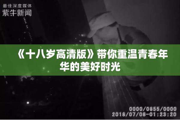 《十八岁高清版》带你重温青春年华的美好时光