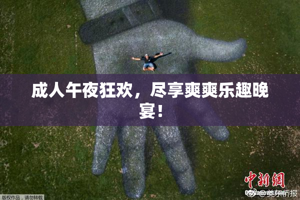 成人午夜狂欢，尽享爽爽乐趣晚宴！