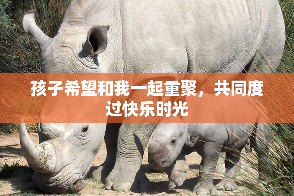孩子希望和我一起重聚，共同度过快乐时光