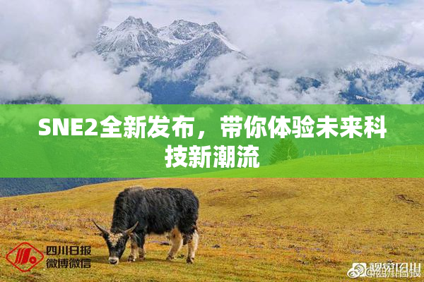 SNE2全新发布，带你体验未来科技新潮流