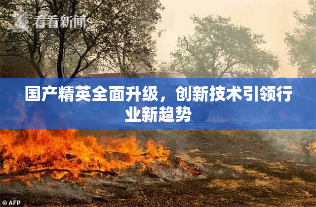 国产精英全面升级，创新技术引领行业新趋势