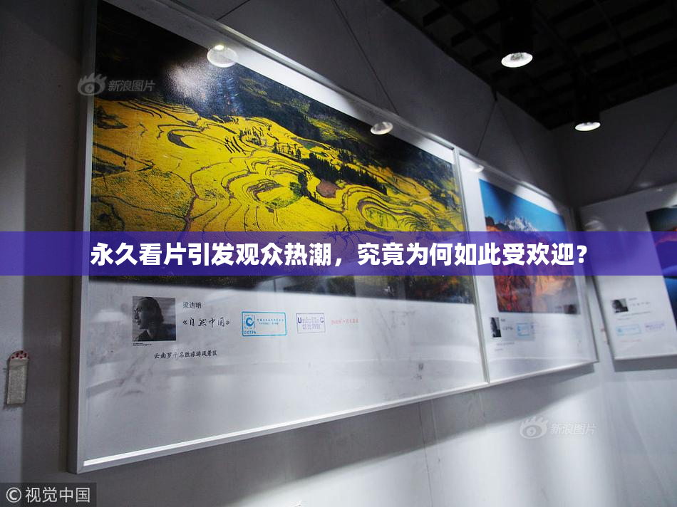 永久看片引发观众热潮，究竟为何如此受欢迎？