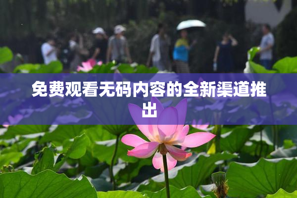 免费观看无码内容的全新渠道推出