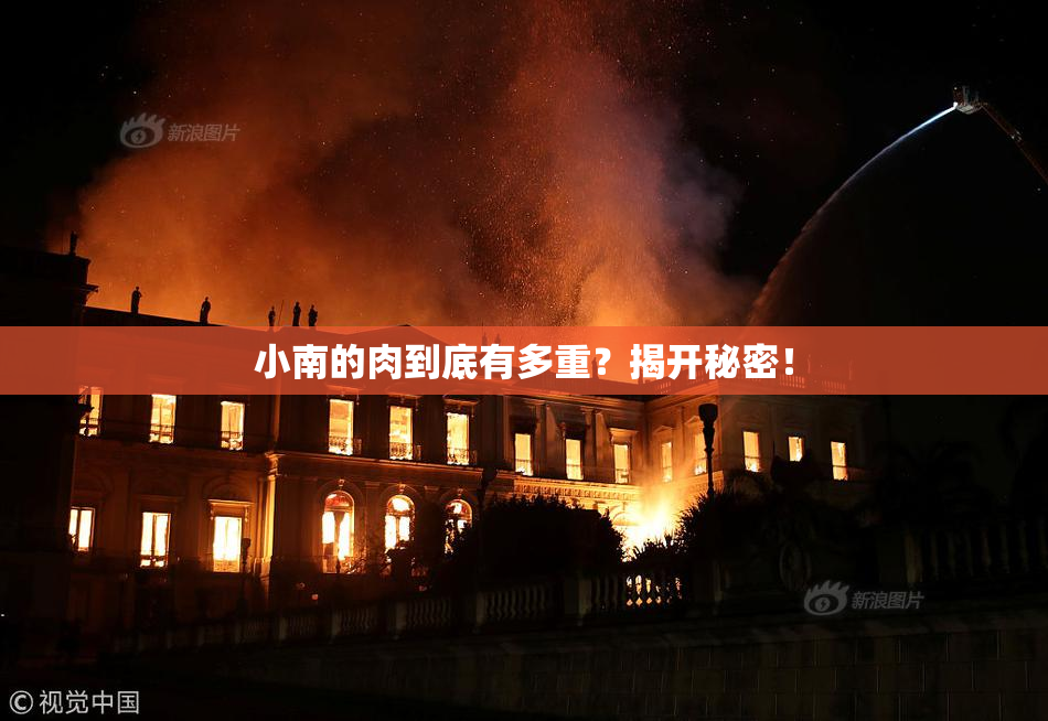 小南的肉到底有多重？揭开秘密！