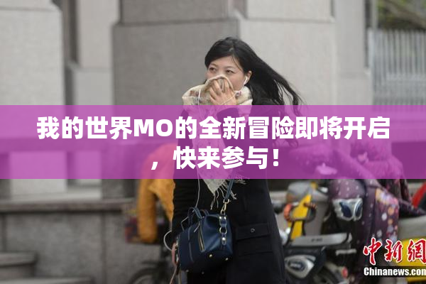 我的世界MO的全新冒险即将开启，快来参与！