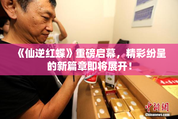 《仙逆红蝶》重磅启幕，精彩纷呈的新篇章即将展开！