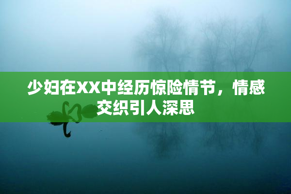 少妇在XX中经历惊险情节，情感交织引人深思