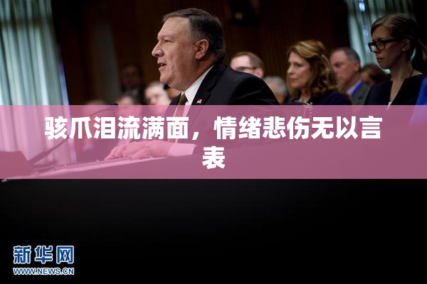 骇爪泪流满面，情绪悲伤无以言表