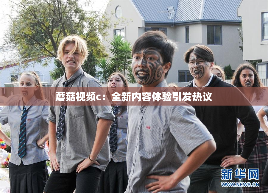 蘑菇视频c：全新内容体验引发热议