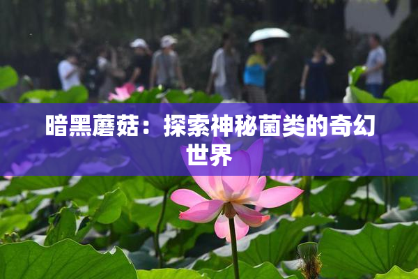 暗黑蘑菇：探索神秘菌类的奇幻世界