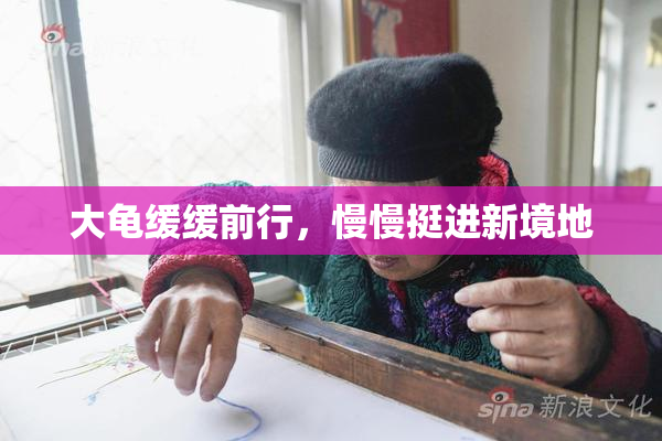 大龟缓缓前行，慢慢挺进新境地
