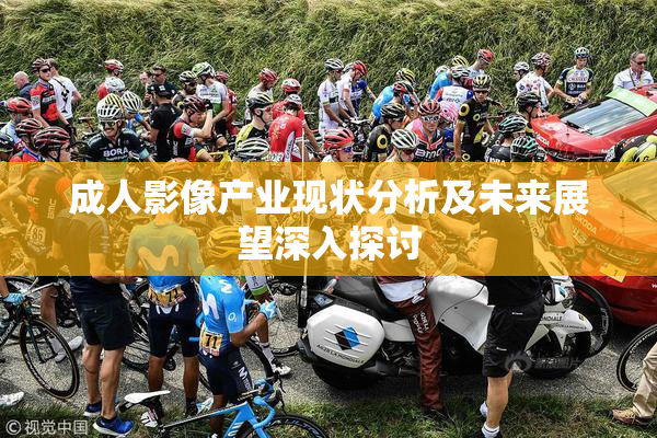 成人影像产业现状分析及未来展望深入探讨