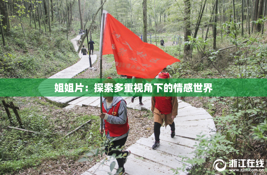 姐姐片：探索多重视角下的情感世界