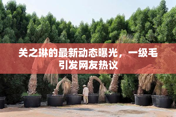 关之琳的最新动态曝光，一级毛引发网友热议