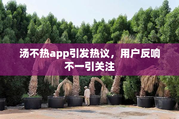 汤不热app引发热议，用户反响不一引关注