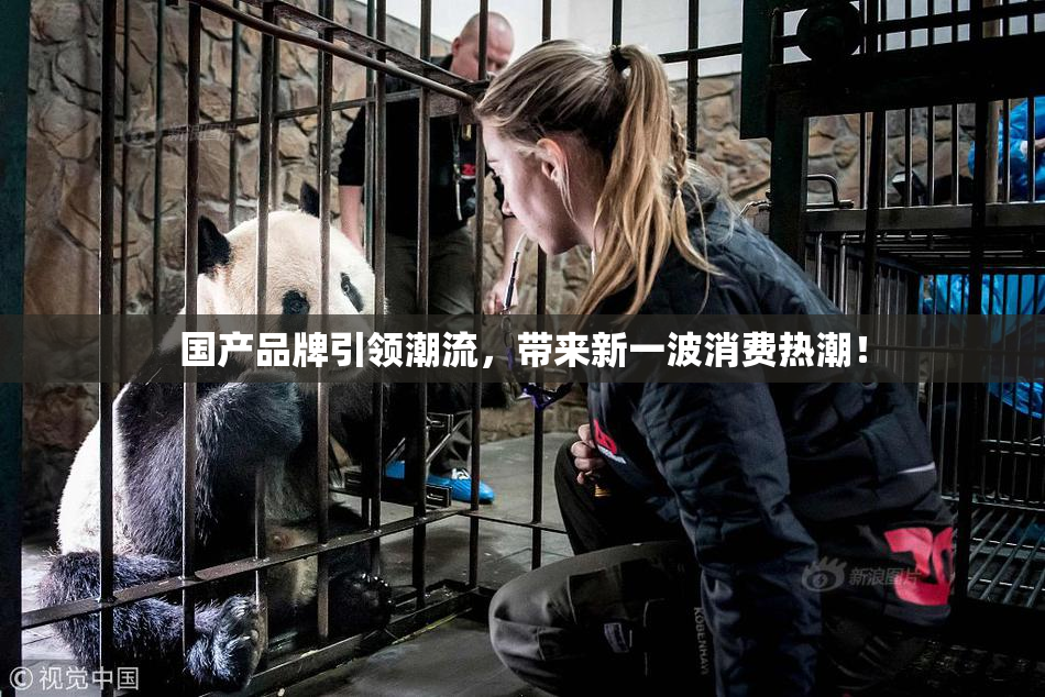 国产品牌引领潮流，带来新一波消费热潮！