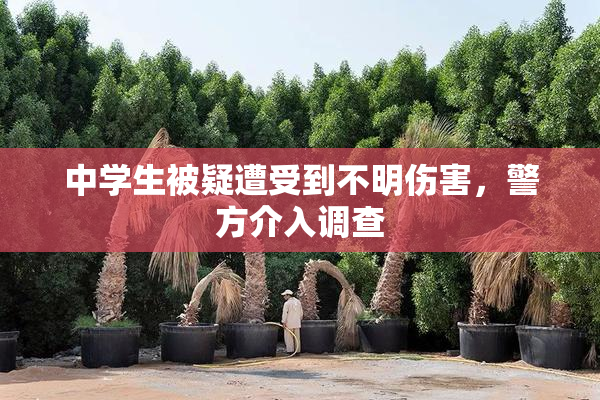 中学生被疑遭受到不明伤害，警方介入调查